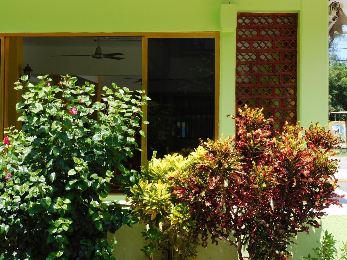 Casa de Huéspedes Yoli By Rotamundos Playa Chachalacas Exterior foto